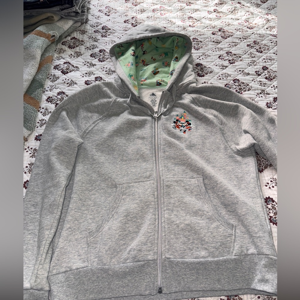 Disneyland Gray Zip-Up Hoodie with Embroidered Design